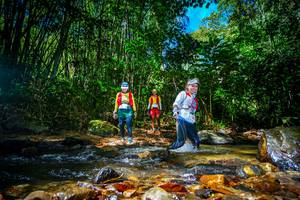 BIB: 
                            <button type="button" onclick="openModal(21765411)" class="btn btn-primary btn-sm float-right btn-popup" data-toggle="modal" data-target=".modal-high-quality">
                        <i class="fas fa-shopping-cart"></i> Add to Cart
                    </button>
                                            <button type="button" onclick="isThisMe(21765411, true)" class="btn btn-success btn-sm float-right btn-popup btn-isme hidden" data-toggle="tooltip" data-placement="bottom" title="นี่คือรูปของคุณใช่ไหม คลิกที่นี่เพื่อเอาเข้าอัลบั้ม">
                        <i class="fas fa-plus"></i> Add to album
                    </button>
                    <button type="button" onclick="isThisMe(21765411, false)" class="btn btn-warning btn-sm float-right btn-popup btn-isnotme hidden">
                        <i class="fas fa-ban"></i> Remove from album
                    </button>